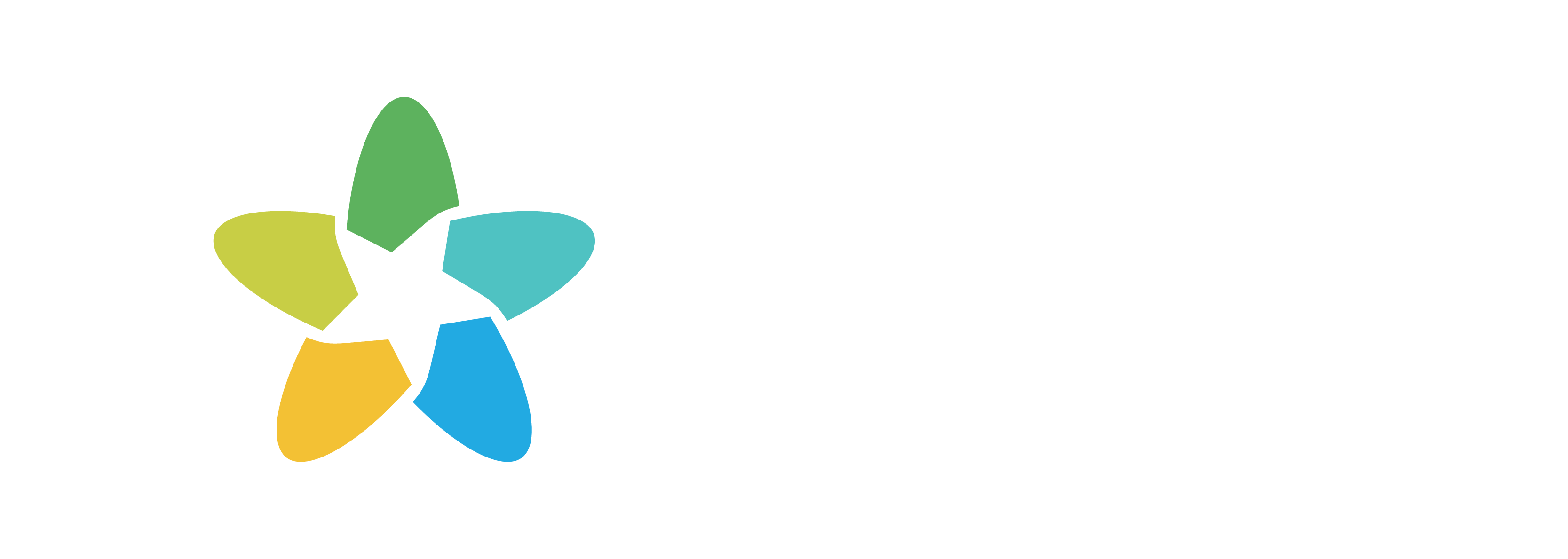 STH Holdings